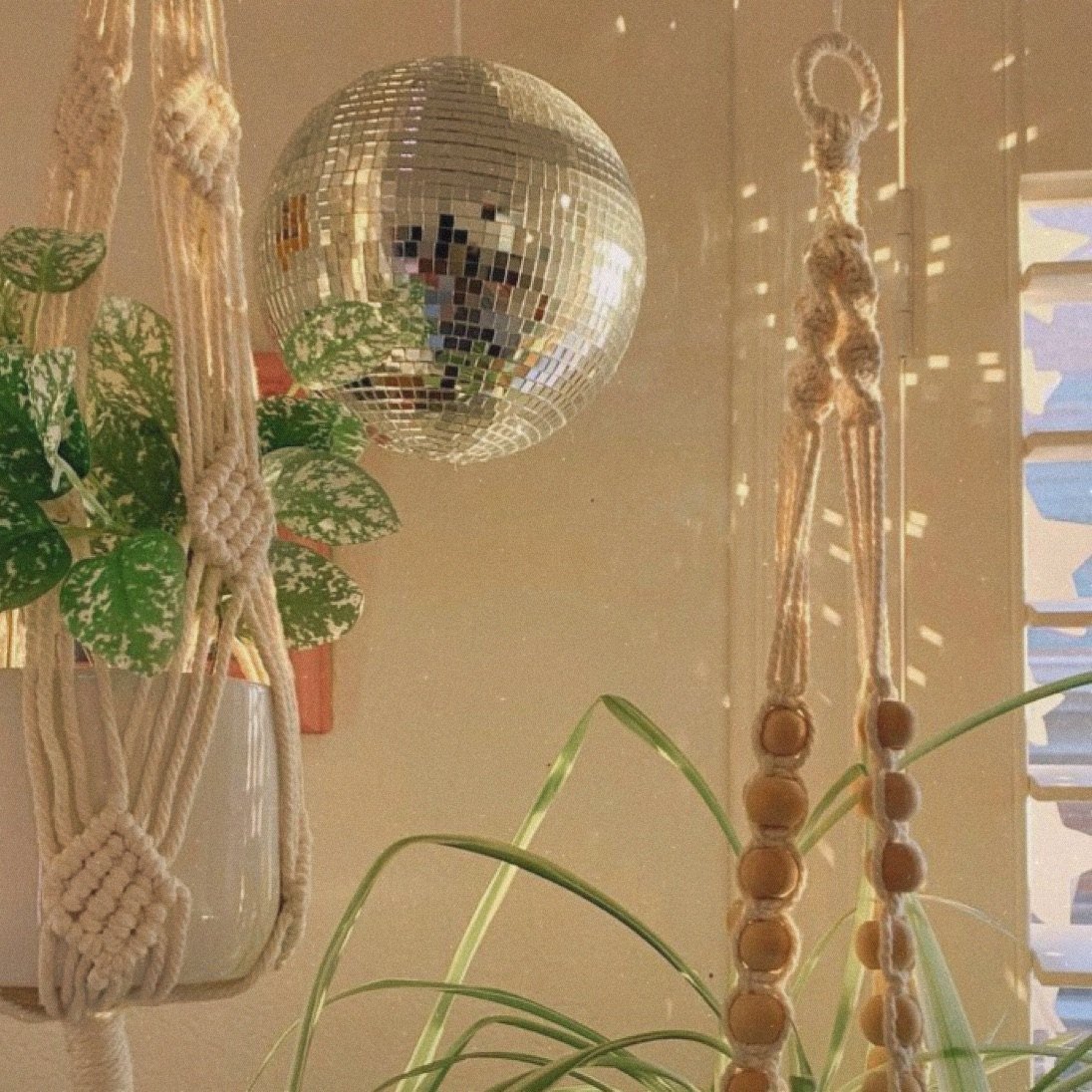 A corner of the studio with plants and warm light